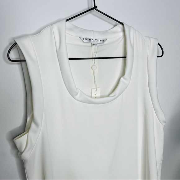 NWT Trina Turk - Double Rainbow Shift Dress M - Picture 5 of 12